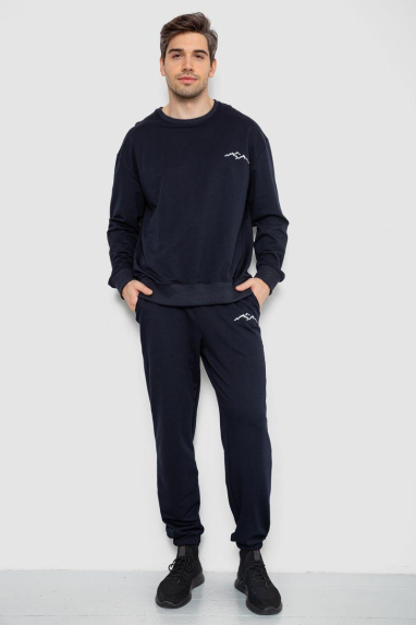 Спортивний чоловічий демісезонний костюм, колір темно-синій, 241R176 XXL, 52, XXL