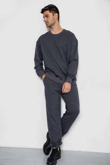 Спортивний чоловічий демісезонний костюм, колір сірий, 241R176 XXL, 52, XXL