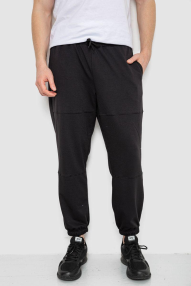 Спортивні штани чоловічі демісезонні, колір чорний, 241R001-1 XL, 50, XL