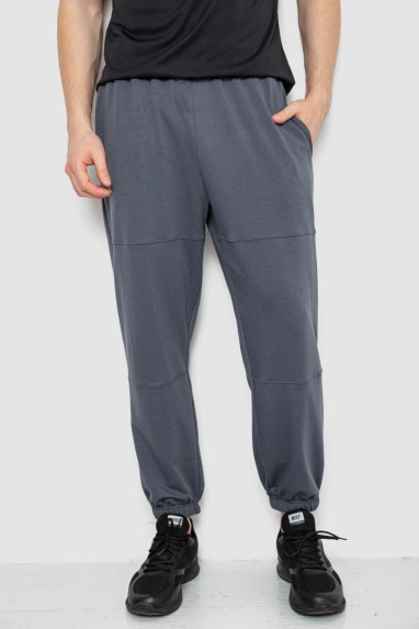 Спортивні штани чоловічі демісезонні, колір сірий, 241R001-1 XL, 50, XL