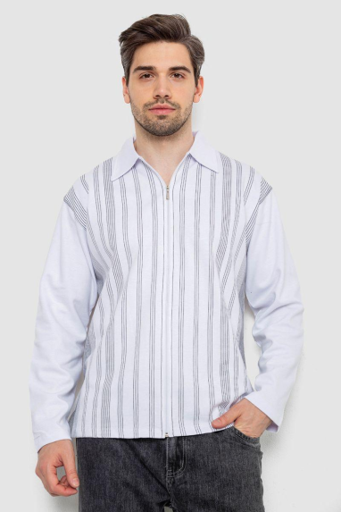 Кофта чоловіча на блискавці в смужку, колір білий, 238R123 XXXL, 54, XXXL