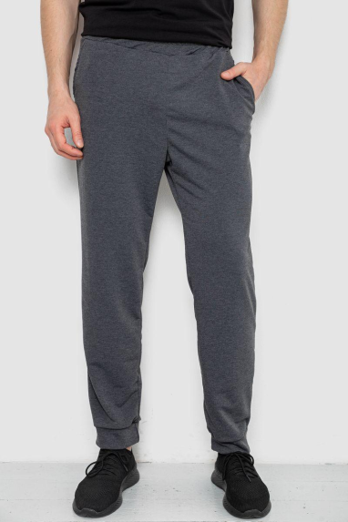 Спортивні штани чоловічі, колір сірий, 238R122 Ager, XXL, 52, XXL