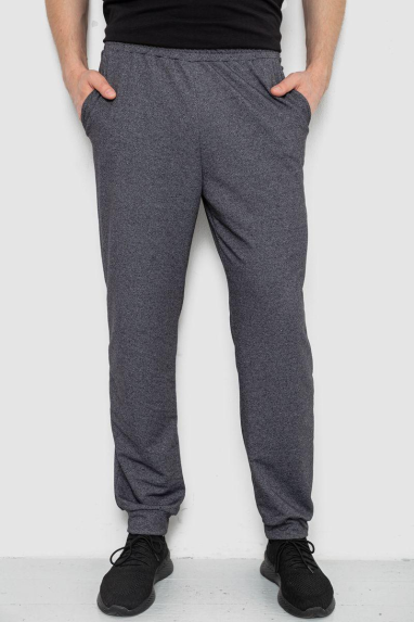Спортивні штани чоловічі, колір темно-сірий, 238R122-1 Ager, XXXL, 54, XXXL