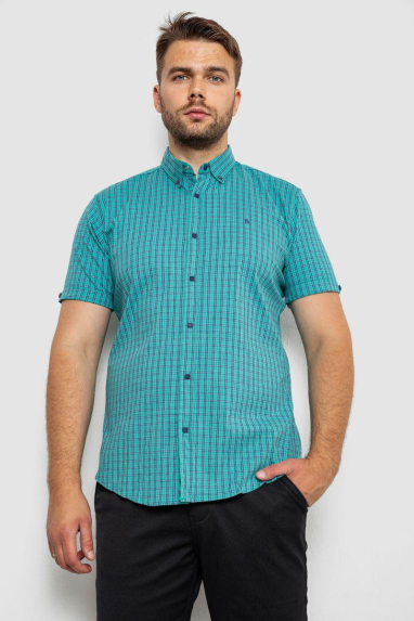 Сорочка чоловіча в клітинку, колір зелений, 214R4564 XL, 50, XL