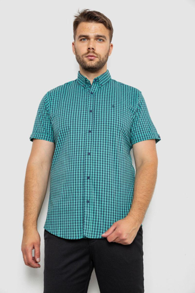 Сорочка чоловіча в клітинку, колір зелений, 214R4564-1 XXXL, 54, XXXL
