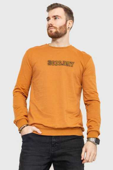 Світшот чоловічий з принтом, колір коричневий, 208R0206 XL, 50, XL
