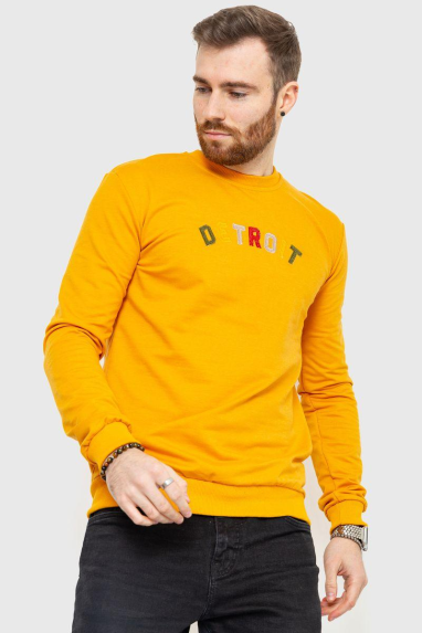 Світшот чоловічий демісезонний, колір помаранчевий, 208R0204 XL, 50, XL