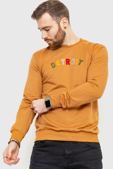Світшот чоловічий демісезонний, колір коричневий, 208R0204 XL, 50, XL