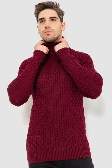 Гольф чоловічий, колір бордовий, 161R133 XL, 50, XL
