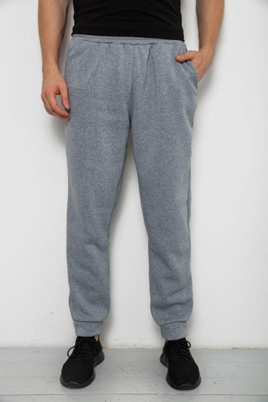 Спортивні штани чоловічі на флісі, колір сірий, 238R58641 XL, 50, XL