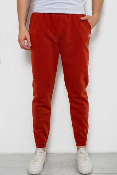 Спортивні штани чоловічі на флісі, колір теракотовий, 238R57256 XL, 50, XL