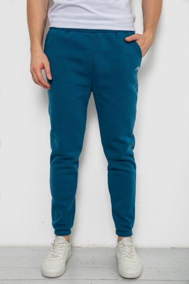 Спортивні штани чоловічі на флісі, колір смарагдовий, 238R57256 XXL, 52, XXL