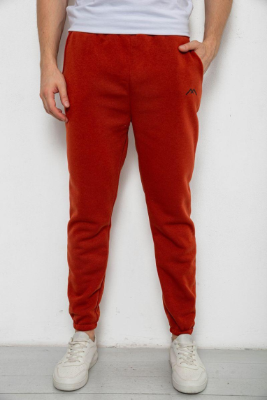 Спортивні штани чоловічі на флісі, колір теракотовий, 238R57256-1 XXL, 52, XXL
