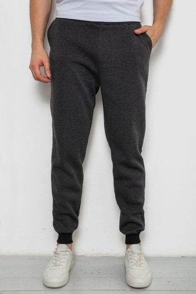 Спортивні чоловічі штани на флісі, колір темно-сірий, 238R56910-5 XXL, 52, XXL