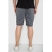 Шорти чоловічі, колір сірий, 244R6700 Ager, XXXL, 54, XXXL