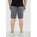 Шорти чоловічі, колір сірий, 244R6697 Ager, XXXL, 54, XXXL