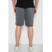 Шорти чоловічі, колір сірий, 244R6589 Ager, XXXL, 54, XXXL