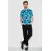 Футболка чоловіча з принтом, колір блакитний, 244R6029 Ager, XL, 50, XL