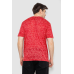 Футболка чоловіча з принтом, колір червоний, 244R6020 Ager, XL, 50, XL