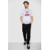 Футболка чоловіча з принтом, колір білий, 244R6020 Ager, XL, 50, XL