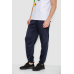 Спорт чоловічі штани, колір темно-синій, 244R41236 XXL, 52, XXL