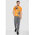 Спорт чоловічі штани, колір сірий, 244R41236 XL, 50, XL