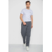 Спортивні штани чоловічі, колір сірий, 244R3849 6XL, 60, 6XL
