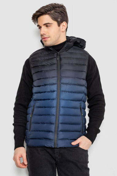 Жилетка чоловіча демісезонна, колір чорно-синій, 244RC999 XXL, 52, XXL