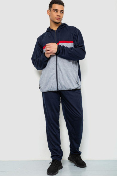 Спорт костюм чоловічий, колір синьо-сірий, 244R9133 XL, 50, XL