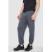 Спортивні штани чоловічі демісезонні, колір сірий, 241R001-1 XL, 50, XL