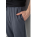 Спортивні штани чоловічі демісезонні, колір сірий, 241R001-1 XL, 50, XL