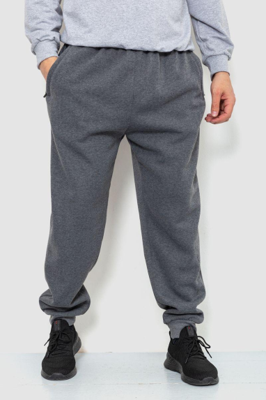 Спорт чоловічі штани на флісі, колір сірий, 244R4868 6XL, 60, 6XL