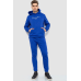 Спортивний костюм чоловічий на флісі, колір електрик, 238R57160 XXXL, 54, XXXL
