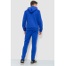 Спортивний костюм чоловічий на флісі, колір електрик, 238R57160 XXXL, 54, XXXL