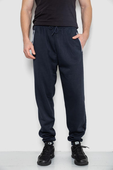 Спортивні штани чоловічі на флісі, колір темно-синій, 244R4643 XXL, 52, XXL