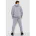 Спортивний костюм чоловічий на флісі, колір світло-сірий, 238R57046 XXL, XXL, XXL