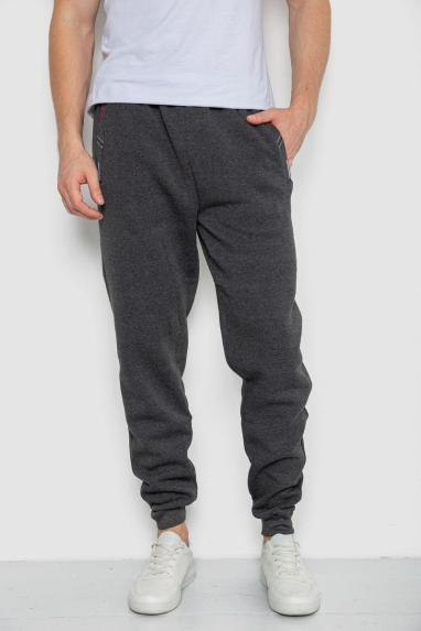 Спортивні штани чоловічі на флісі, колір темно-сірий, 244R41329 XXL, 52, XXL