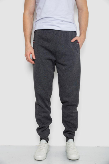 Спортивні штани чоловічі на флісі, колір темно-сірий, 244R41271 XL, 50, XL