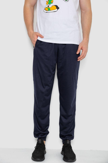 Спорт чоловічі штани, колір темно-синій, 244R41236 XXL, 52, XXL