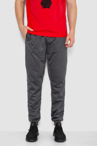 Спорт чоловічі штани, колір темно-сірий, 244R41236 XXXL, 54, XXXL