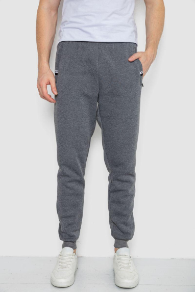 Спортивні штани чоловічі на флісі, колір сірий, 244R41003 4XL, 56, 4XL