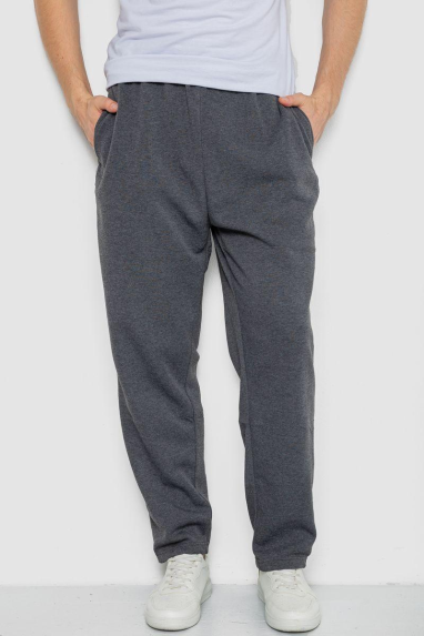 Спортивні штани чоловічі, колір темно-сірий, 244R3849 5XL, 58, 5XL