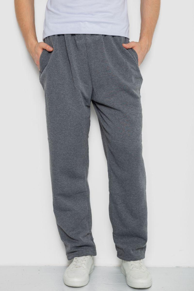 Спортивні штани чоловічі, колір сірий, 244R3849 6XL, 60, 6XL