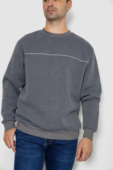 Батник чоловічий на флісі, колір сірий, 244R2556 XXXL, 54, XXXL