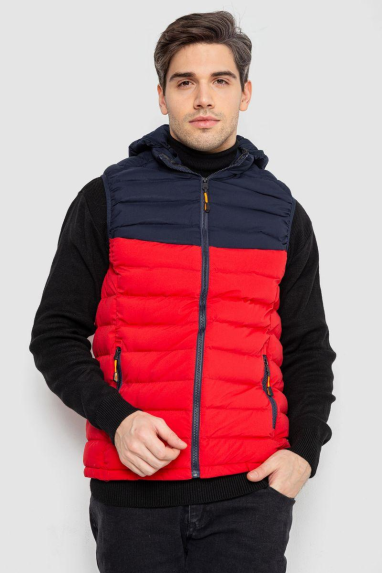 Жилетка чоловіча демісезонна, колір синьо-червоний, 244R2323 XL, 50, XL