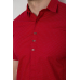 Сорочка чоловіча з принтом, колір бордовий, 214R7014 XL, 50, XL