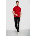 Сорочка чоловіча однотонна, колір бордовий, 214R6917 XL, 50, XL