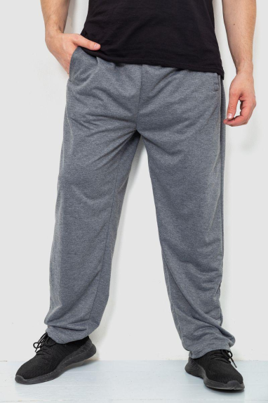 Спорт штани чоловічі, колір сірий, 244R10018 6XL, 60, 6XL