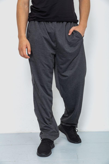 Спорт штани чоловічі, колір темно-сірий, 244R0668 4XL, 56, 4XL