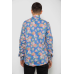 Сорочка чоловіча з принтом, колір різноколір, 214R2025 XL, 50, XL